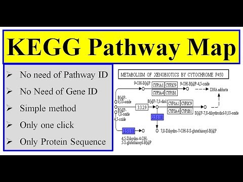 KEGG pathway map in tbtool