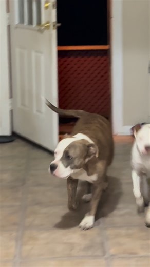 1.1K views · 29 reactions | Tiffany Ooten on Reels | Facebook