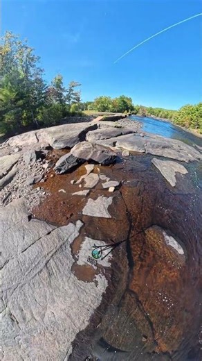 Wilderness River | Wild Adventurz Vibes: Untamed Flow & Outdoor Vibes