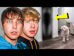 Scariest Ghost Encounters with Pets