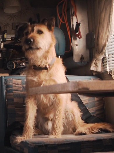 Jeff's Humor and Adventures with Finch