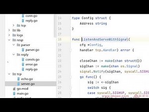12.12 实现Connection【深入Go底层原理，重写Redis中间件实战】