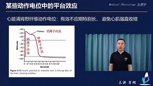 9.动作电位平台期与自律性