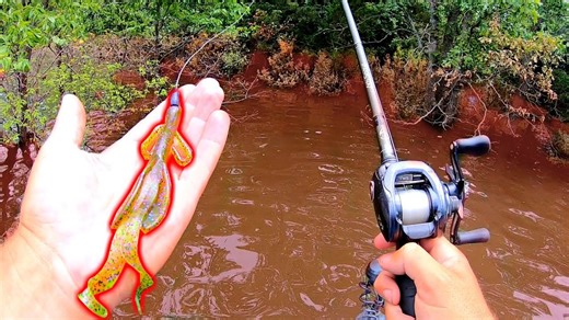 Epic Ice Fishing Shopping Spree for Major Equipment Upgrades