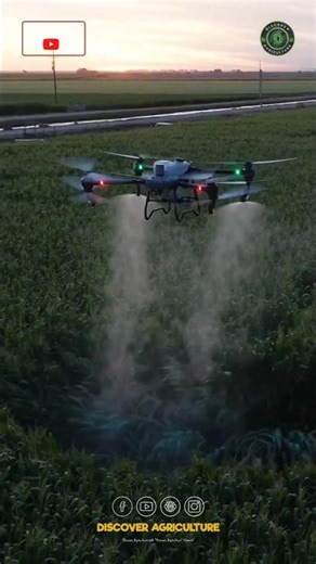 Amazing Agriculture Drone Sprayer Machine