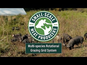 Multi-species Rotational Grazing Grid System