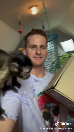 Care Bear Fan Mail Reaction Highlights