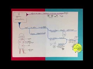 Le système immunitaire (cours SVT 3°)
