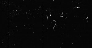 clip-33548446-black-vhs-glitch-background-realistic-flickering-analog