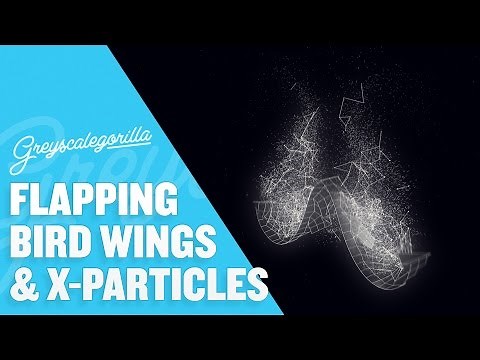 Animate A Flapping Bird Wing with Joints in Cinema 4D - Greyscalegorilla Tutorial