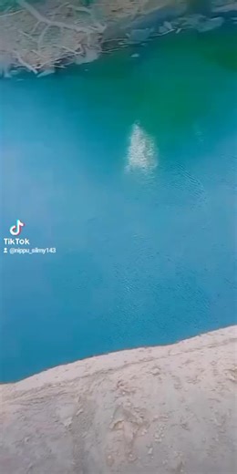 silmy (@silmy_519)’s videos with original sound - silmy