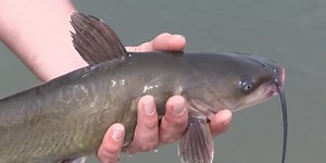 New fishing regulations for the upcoming season