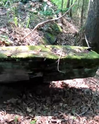 Forgotten Railroad Bridge Gets Some Love! | Adventures Into History