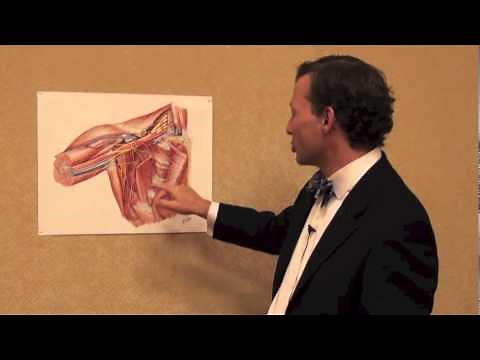 Netter's Atlas: Axilla -- Discussed by R. Shane Tubbs, PhD