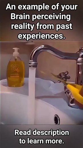 How Your Brain Tricks You Into Seeing Things 🧠