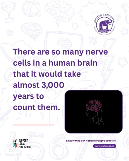 The human brain is composed of three main parts—the cerebrum, cerebellum, and brainstem—each with specific roles, and works by sending electrical and chemical signals through a vast network of nerve cells called neurons. | Shuter & Shooter Publishers (Pty) Ltd | Facebook