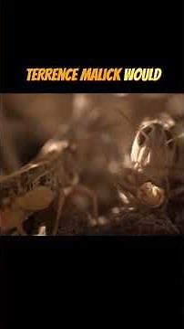 LOCUST SWARM! Good Earth and Days of Heaven #movie #specialeffects #disasterscene