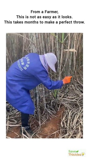 Pure Farming Mastery | One Throw One Cut