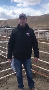 3.8K views · 61 reactions |  BIG NEWS!  New Angus sires added to the lineup yesterday from Connealy Angus. | Select Sires Beef | Facebook