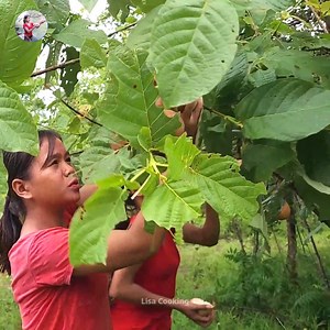 215K views · 3.8K reactions | Cooking Big Duck using wild recipe & Eating Yummy for jungle food Part 3 | Lisa Cooking | Facebook