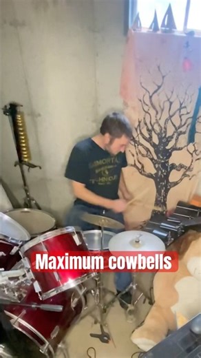 Drumming on the cowbells🥁 #drums #cowbell #drummer #creativdrums #musicalinstrument #drumming