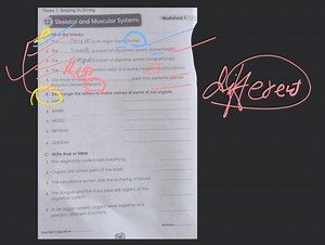 Theme 7: Keeping Us Strong 12. Skeletal and Muscular Systems Wo... | Filo