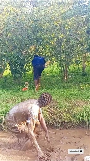 funny video 😂🤣💔