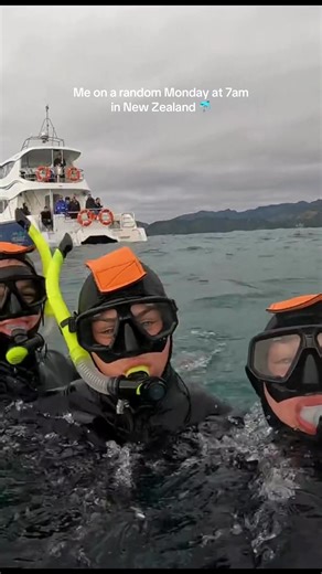 Such an amazing experience 🐬#newzealand🇳🇿#swimmingwithdolphins #fyp #travel #backpack