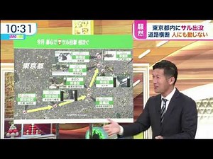 ひるおび！ 2021年11月3日 FULL SHOW - WACOCA VIDEOS
