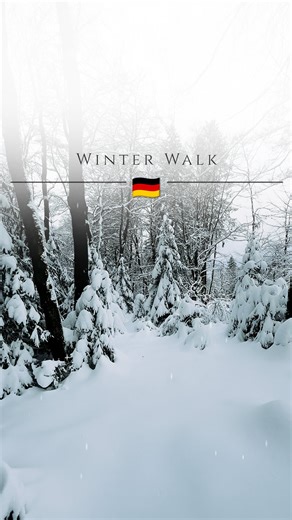 Sebastian Grafe • Traveller | WINTER WALK • • • EN Fresh snow everywhere. You are the first one making those good sounding steps. How far will you go into the forest? DE... | Instagram