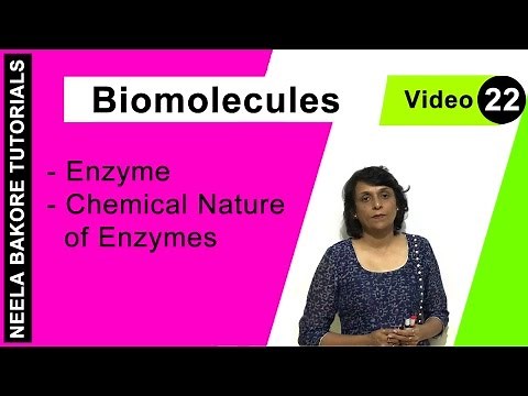 Biomolecules | NEET | Enzyme - Chemical Nature of Enzymes | Neela Bakore Tutorials