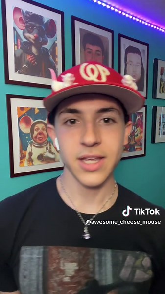 awesome_cheese_mouse on TikTok