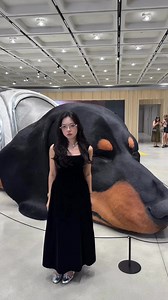 463K views · 10K reactions | Con chó này liệu giá bao nhiêu ngỉ??? | Cao Linh Trang | Facebook