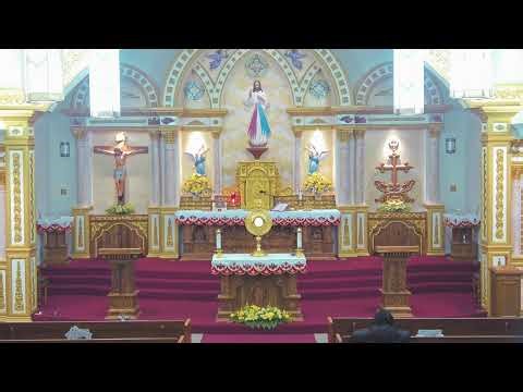 Today's Adoration and Holy Qurbana