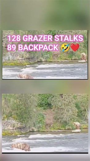 Explore.org Grazer Stalks Backpack ❤️❤️❤️