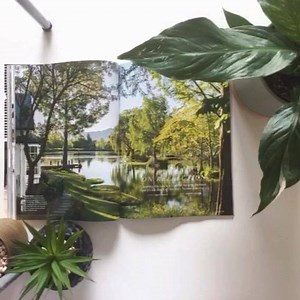 Fabulous homes, a garden with a man made lake, all you need to know about indoor plants and more delicious recipes - our May issue is in stores today! | NZ House & Garden magazine