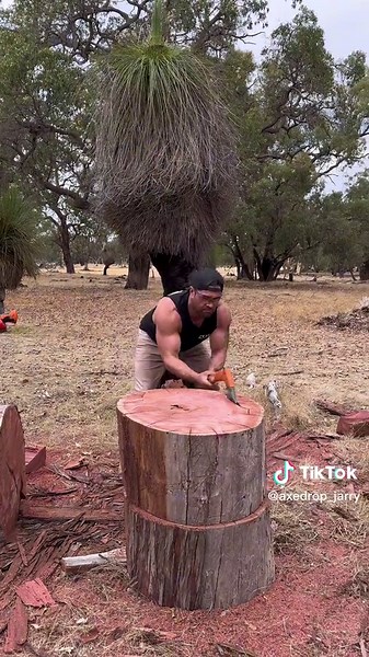 #stihl #stihltimbersports These STIHL AXES ABSOLUTELY DESTROYING this well seasoned Hardwood. Doing the job as a MAUL. AX15P is 1.75 kgs its my Lightest Axe.@Mitchell Ryan