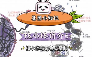 基因小知识 核小体简介6 核小体与染色质复制