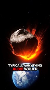 A Meteorite Fell… And What It Does Is Terrifying A freshly fallen meteorite was found — and it burns organic matter on contact. Scientists are still trying to explain it. ☄️🔥 #Meteorite #SpaceRock #MeteoriteDiscovery #AsteroidFacts #SpaceMysteries #CosmicObjects #Astrophysics #AstronomyFacts #UnexplainedScience #DeepSpace #UniverseSecrets #ScienceFacts #DidYouKnow #ReelScience #EducationalReels | CurioVerse