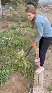 1.3M views · 2.8K reactions | Got weeds?? This is a must-have yard tool! This weed puller has been so useful I ordered a second one! Linked in comments  | How We Do | Facebook
