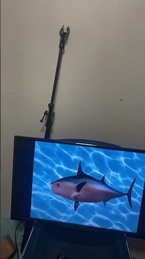 SpongeBob intro, Turkish old season 1-8 except for nature pants final old version ￼