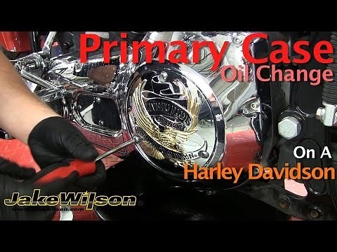 Harley Davidson Primary Case Oil Change & Primary Chain Adjustment