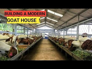 Cost Of Building A MODERN GOAT HOUSE! | Simple and Secure