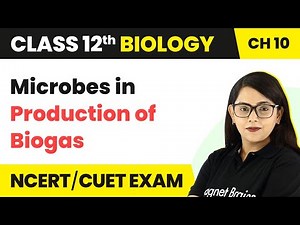 Microbes in Production of Biogas | Class 12 Biology Chapter 10 NCERT/NEET (2022-23)