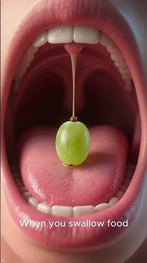 What Is The Purpose Of Your Uvula? 🤔