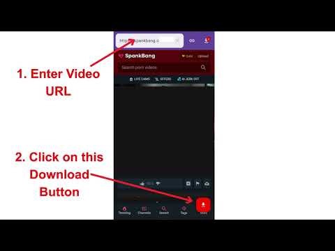 Spankbang Downloader | How to Download Spankbang Videos (2026)