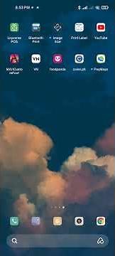 Loyverse - How to Print Daily Sales