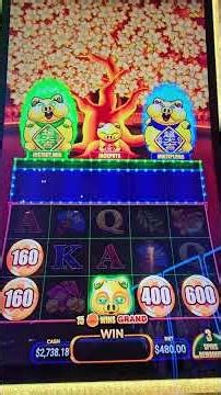 Buying A $480 Bonus Round on New Game Fa Cia Party #slotmachine #casino