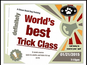 Canine Tricks Class