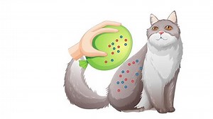 2d Animation Static Electricity Experiment Stock Footage Video (100% Royalty-free) 1099611847 | Shutterstock